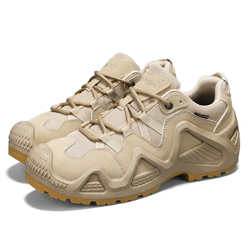 49173701689639|49173701755175|49173701820711|49173701886247|49173701919015|49173701951783