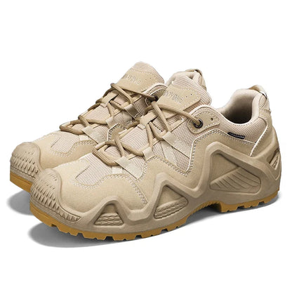 49173701689639|49173701755175|49173701820711|49173701886247|49173701919015|49173701951783